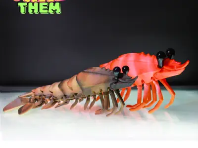 SHRIMP  TOY  TURTLE  PRINT IN PLACE  ANIMAL  FLEXY CUTE  3D model