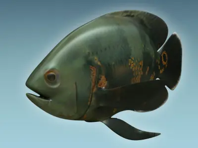 Black Tiger Fish 3D model
