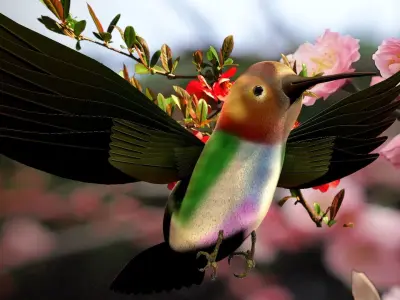 HummingBird flying in cherry blossoms 3D model