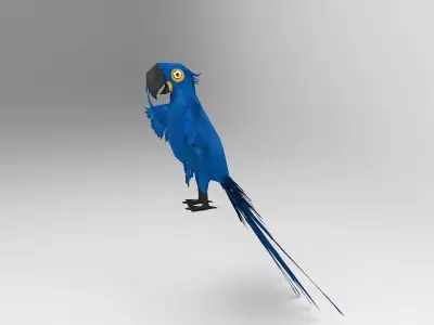 Blue Bird Parrot  Low-poly 3D model