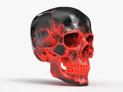 Human Skull Sci-fi Hot 3D model