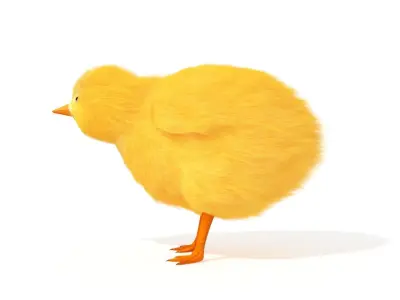 Baby Chick Chicken Farm Animal 3D model