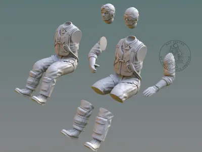US NAVY PILOT 3D print model