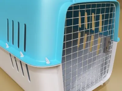 Pet Carrier High Detailed 3D model