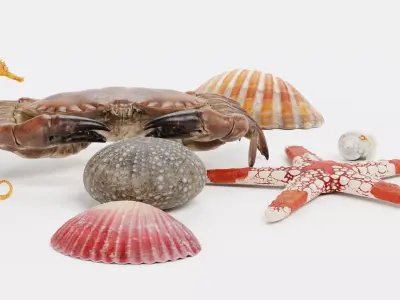 -Sealife Set- 3D model