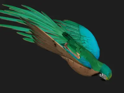 Parrot A5 3D model