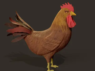 Cockerel Game ready 3D model Low-poly 3D model
