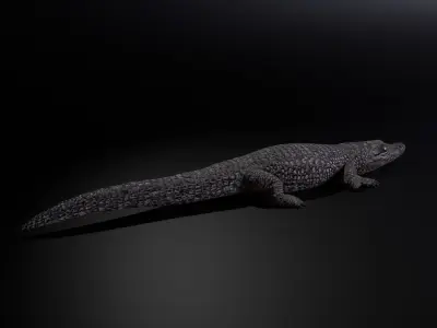 Dwarf Crocodile Low-poly 3D model