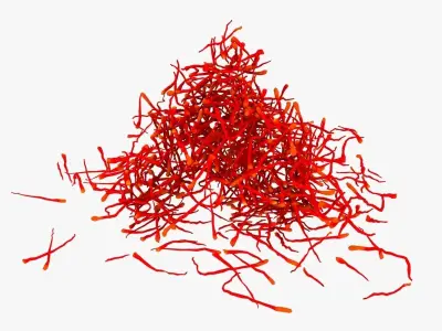 Saffron Stigma 3D model