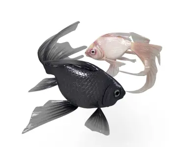 Yin Yang Fish Low-poly 3D model