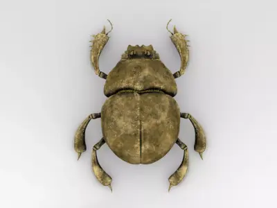 Golden scarab 3D model
