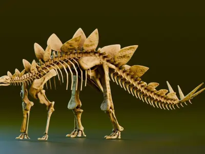 Realistic Ancient Reptilians Fossil - Stegosaurus Low-poly 3D model