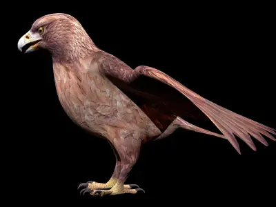 Eagle Rig Low-poly 3D model