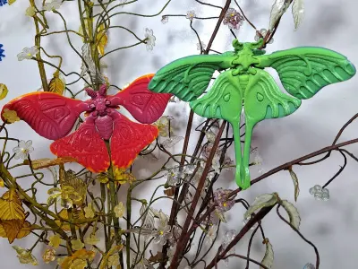 Realistic Atlas moth 3D print model