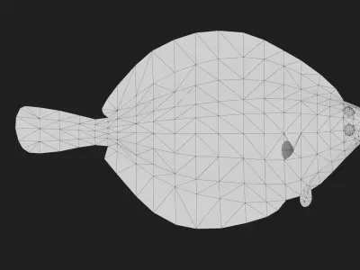 Plaice Low-poly 3D model