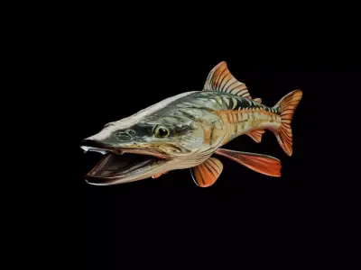 Trophy Fish Pike 2 3D model