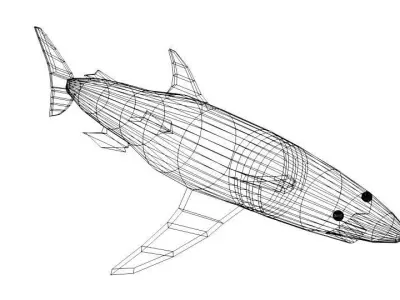 Shark - Mako 3D model