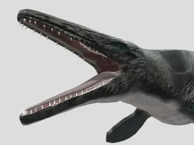 Tylosaurus Low-poly 3D model