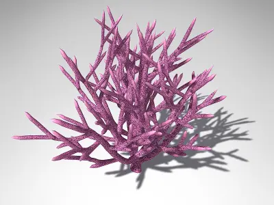 XfrogPlants Birds Nest Coral 3D model
