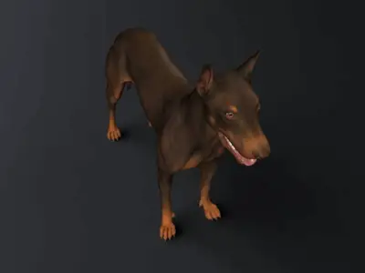 Doberman Model 3D model
