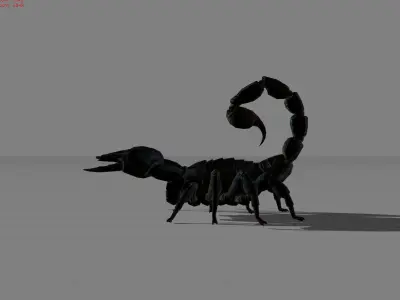 Realistic Scorpion Animal Low-poly 3D model