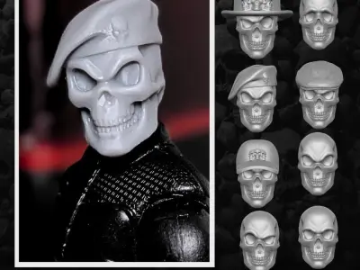 Skull Collection Heads 3D printable File 3D print model