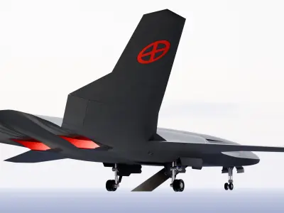 X Black Bird Low-poly 3D model