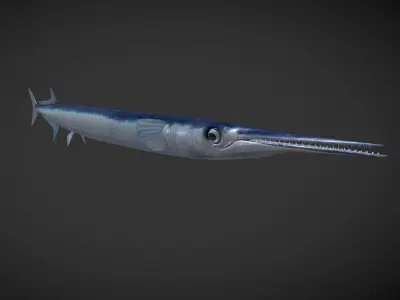 SwordFish fish with long tail Low-poly 3D model