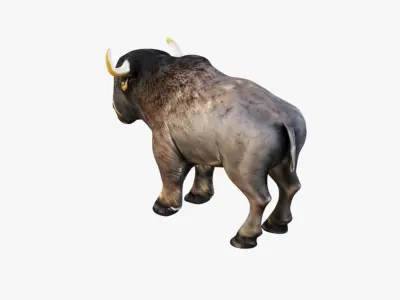 Buffalo Free 3D model