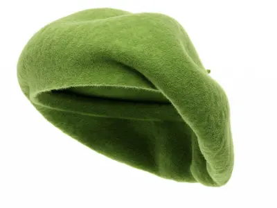 Wool Beret 3D model
