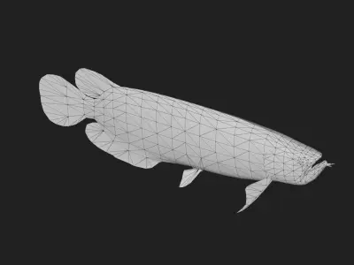 Arowana Low-poly 3D model