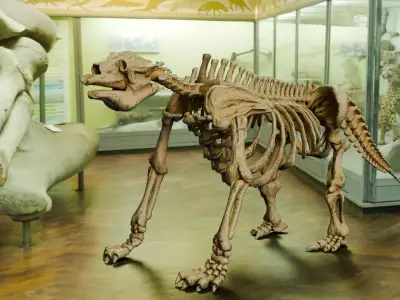 Realistic Mammals Fossil - Megatherium Low-poly 3D model