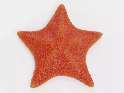 -Bat Starfish - Red- 3D model