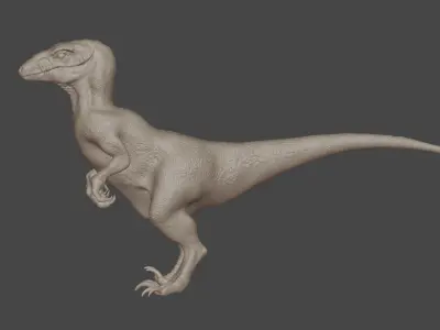 Velociraptor - 3D Model 3D model