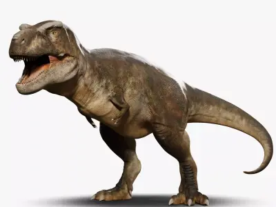 Accurate - Tyrannosaurus rex RIG Low-poly 3D model