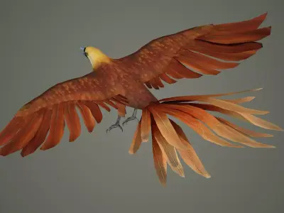 pheasant bird feather wing game hunt hunting wild forest  3D model