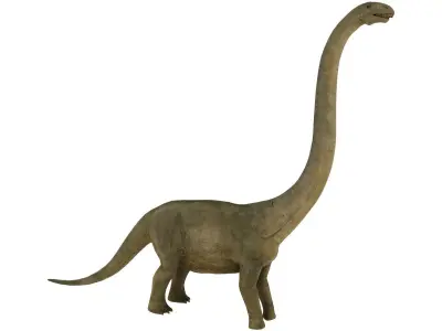 brontosaurus dinosaur Low-poly 3D model