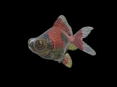 FISH-006 Goldfish 3D model