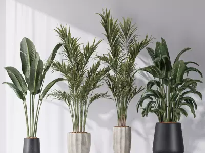 Bird Of ParadiseBird and Areca Majesty Vase 12 3D model