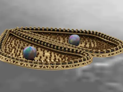 Sea Mussel Pendant 3D print model