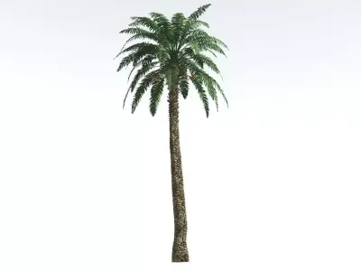 EVERYPlant Date Palm 1 --16 Models-- 3D model