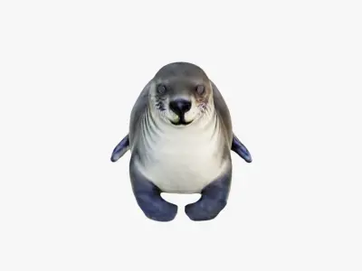 Seal Animal Free 3D model