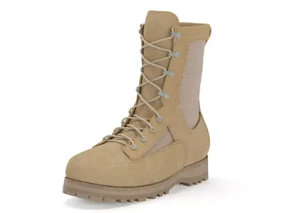Military Boots 3D model order