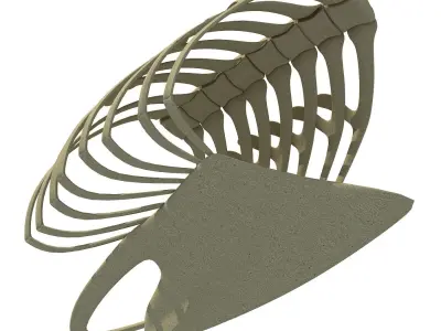Penguin Rib Cage 3D model