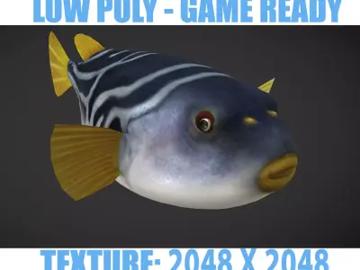 Puffer fish Low-poly 3D model