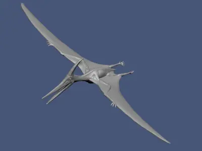 Dinosaur Basemesh Pack 01 3D model