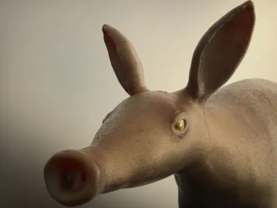 Aardvark Juvenile 3D model