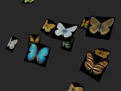 Butterflies  Animated Rigged Collection  Low-poly 3D model