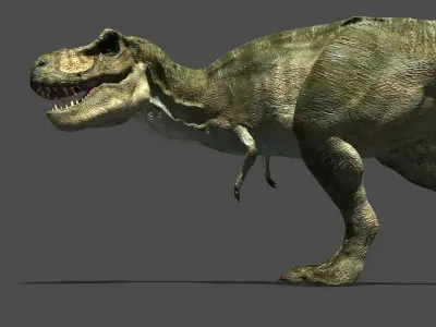 MY SPECIAL DINOSAUR PACK - rex 3d model 3D model