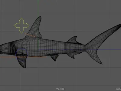 Great Hammerhead shark  - Sphyrna mokarran  3D model